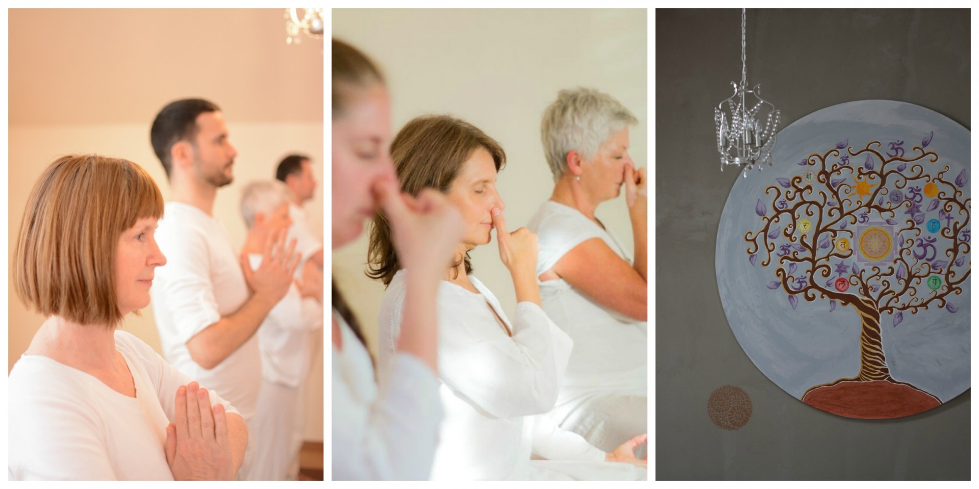 Yoga Course for Beginners
