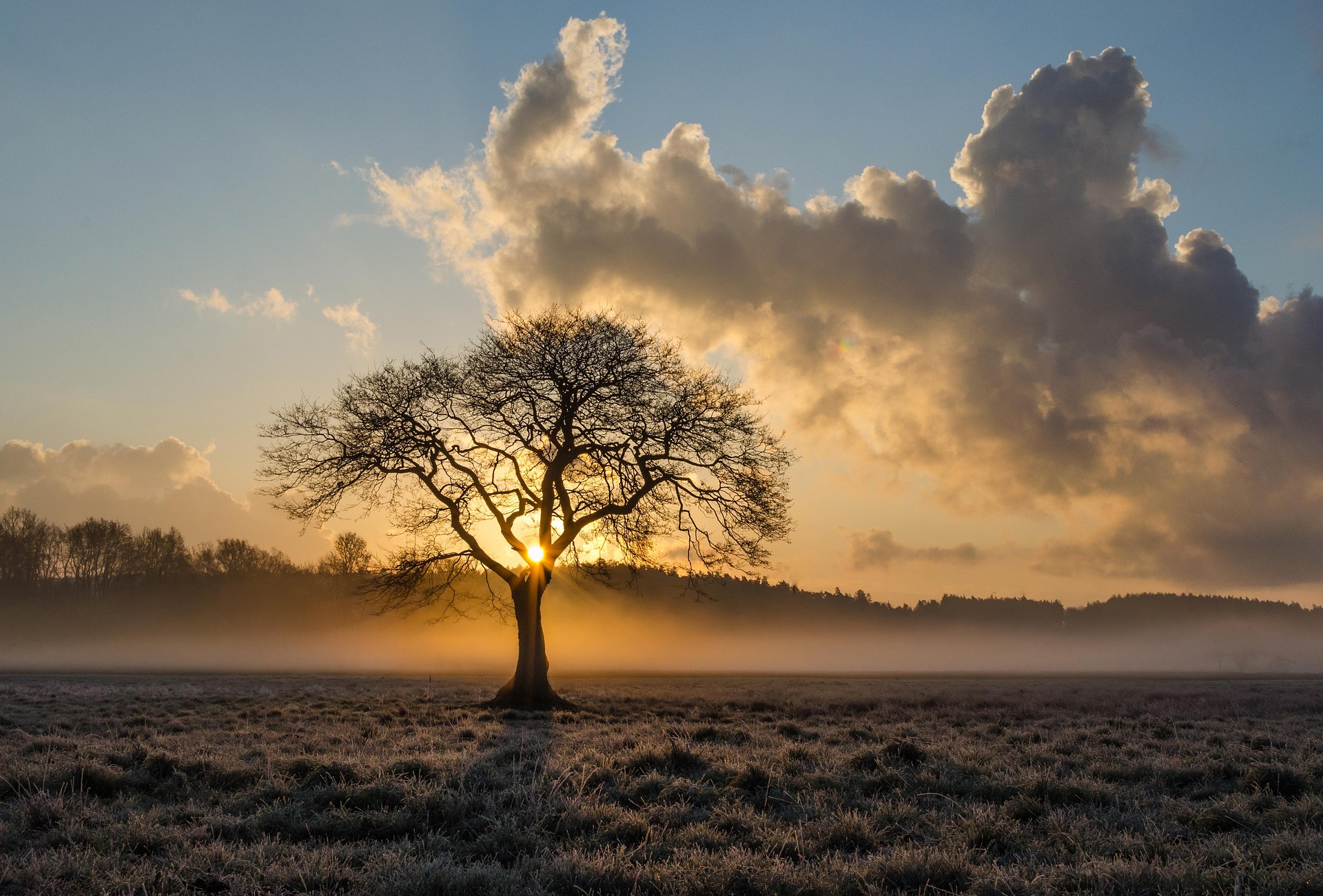 pixabay.com/hu free photoes