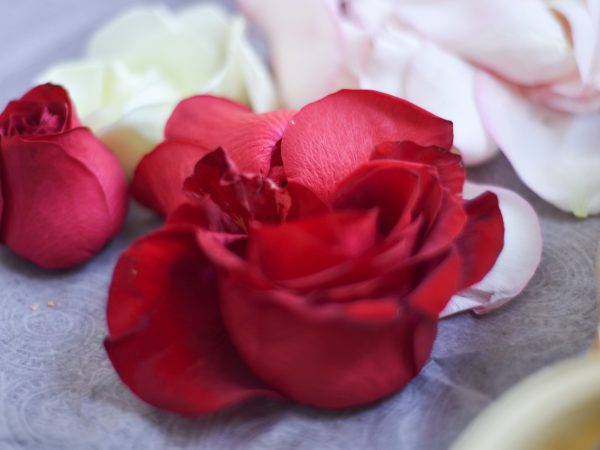 Szakrális körtánc