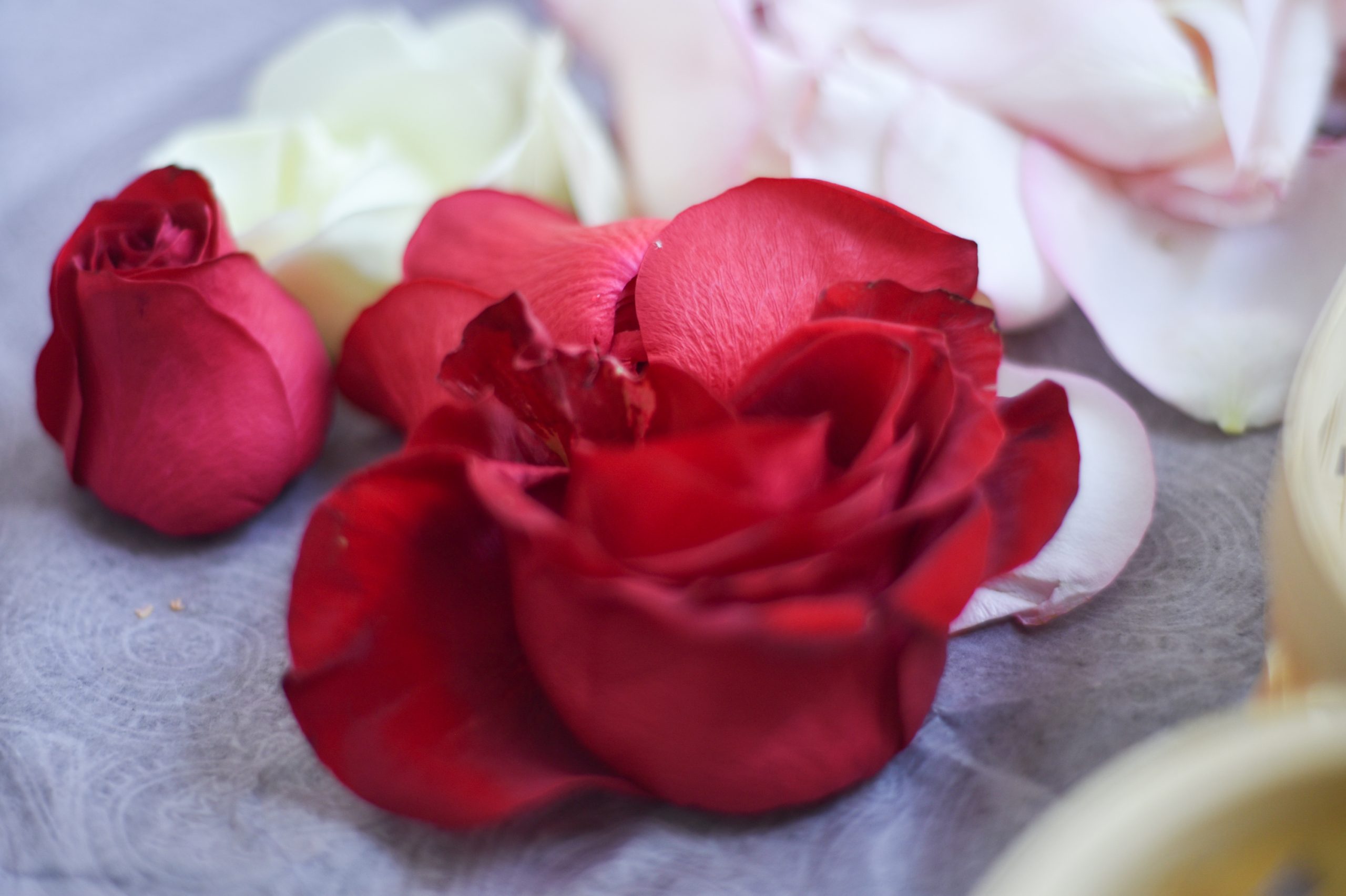 Szakrális körtánc